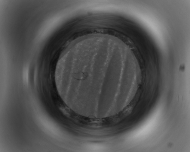 X0000102490382200809051328