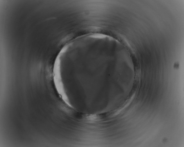 X0000102490383200809051328