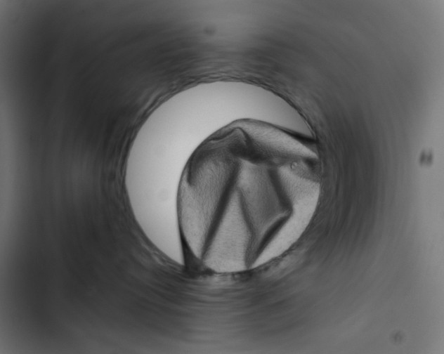 X0000102490384200809051328