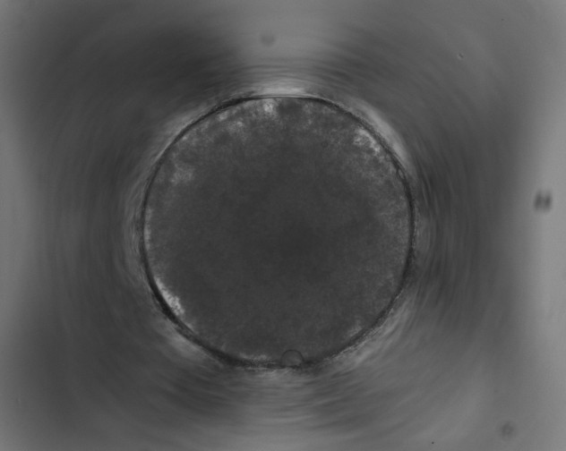 X0000102490385200809051327