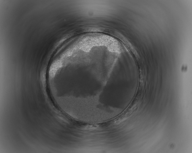 X0000102490386200809051327