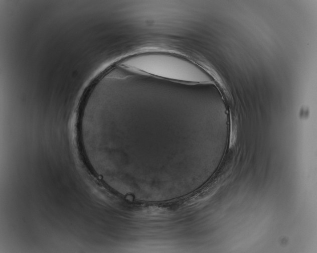 X0000102490387200809051327