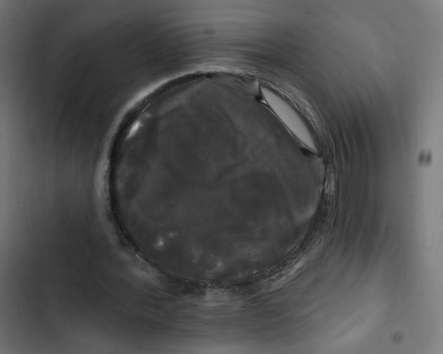 X0000102490388200809051327