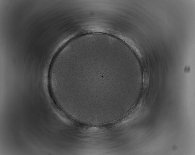 X0000102490390200809051327