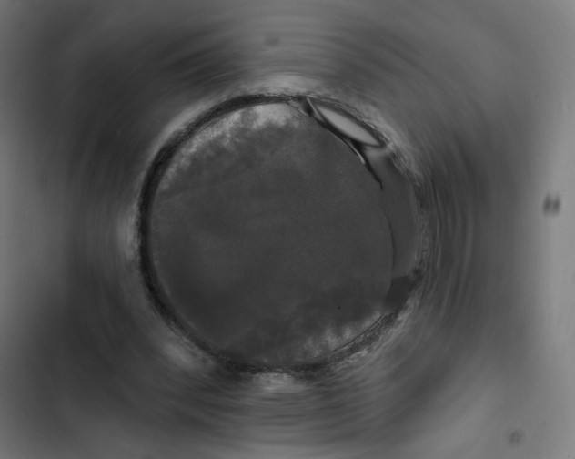 X0000102490392200809051327