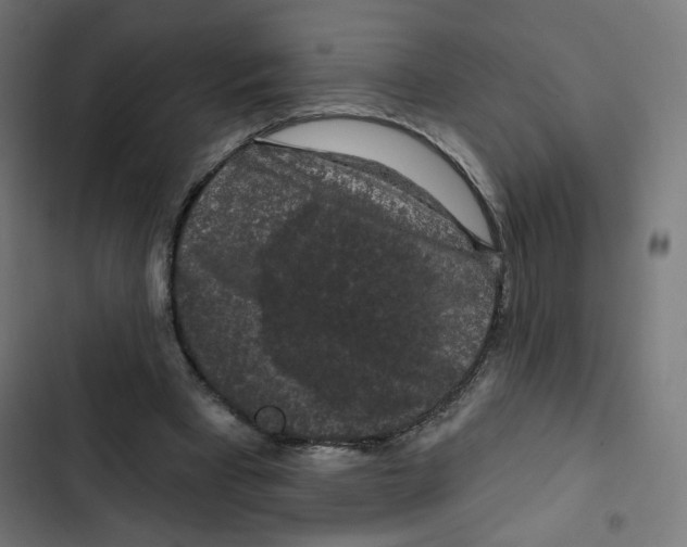 X0000102490393200809051327