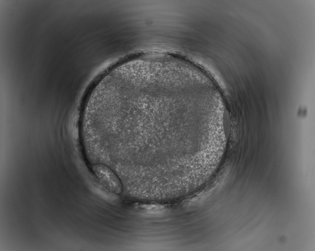 X0000102490395200809051327