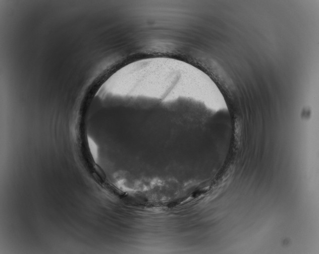 X0000102490396200809051327