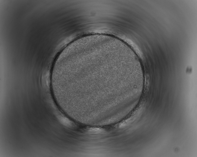 X0000102490397200809051327