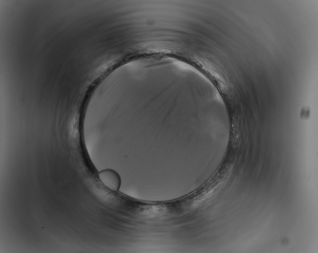 X0000102490398200809051327