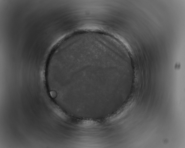 X0000102490399200809051327