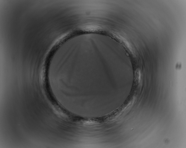 X0000102490400200809051327