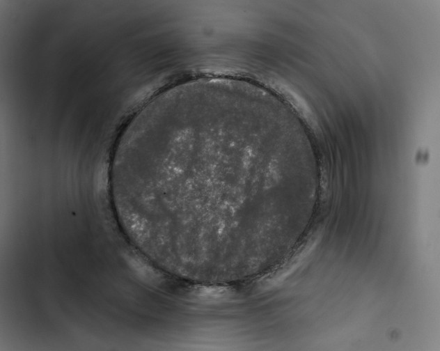 X0000102490401200809051327