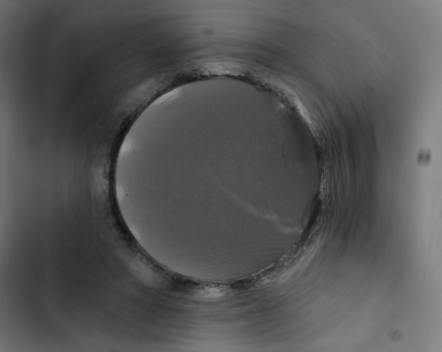 X0000102490402200809051327