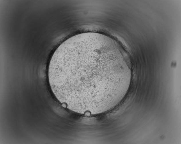 X0000102490403200809051327