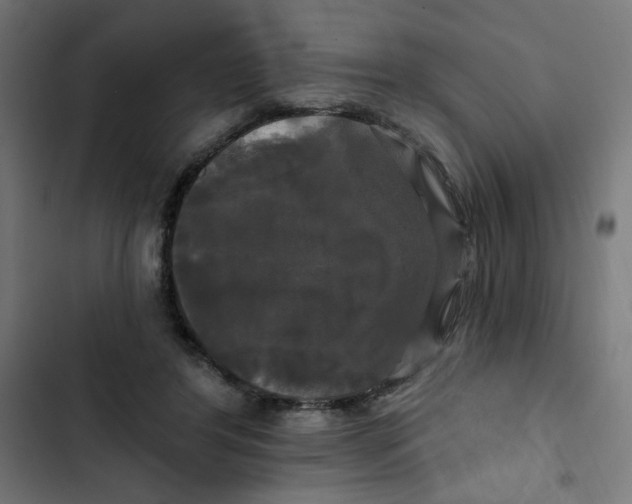 X0000102490404200809051327