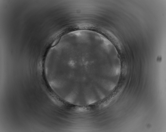 X0000102490405200809051327