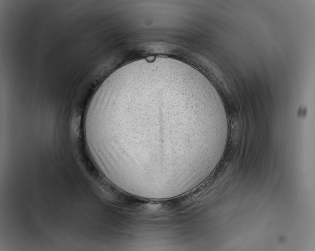 X0000102490406200809051327