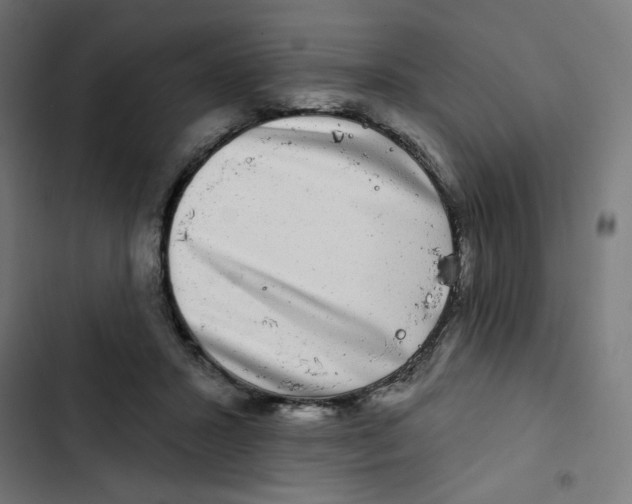 X0000102490407200809051327