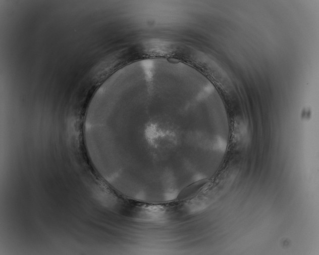 X0000102490409200809051327