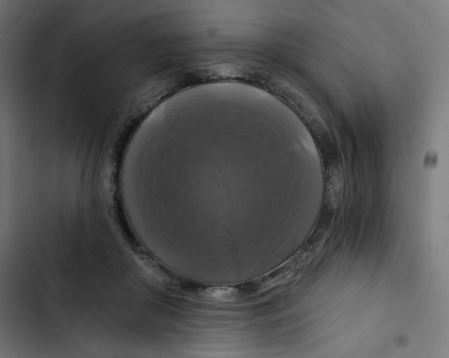 X0000102490410200809051327