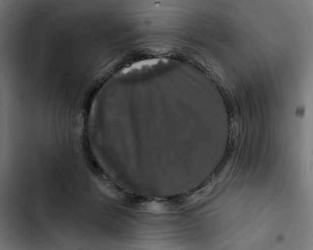 X0000102490412200809051327