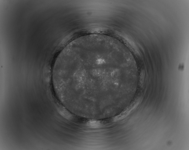 X0000102490413200809051327