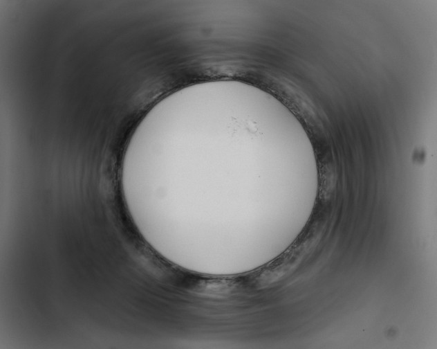 X0000102490414200809051327