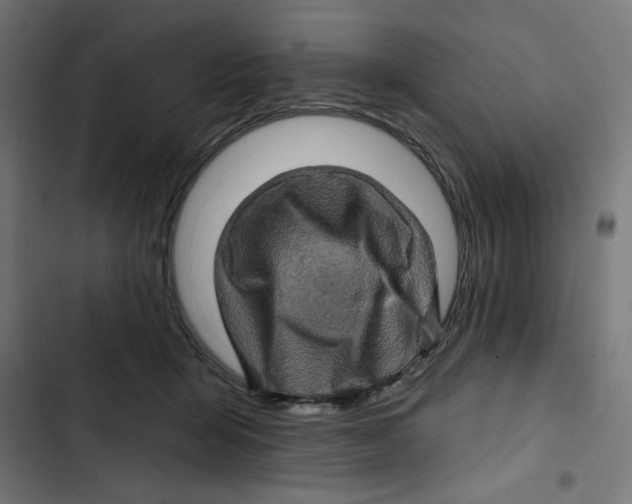 X0000102490415200809051327