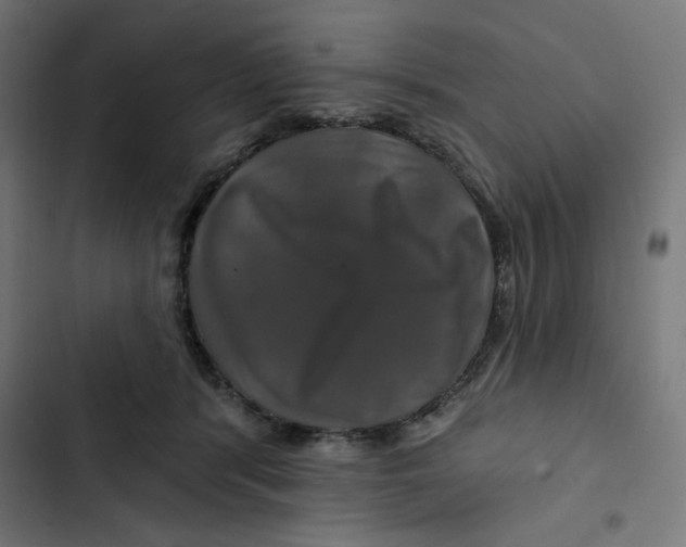 X0000102490416200809051327