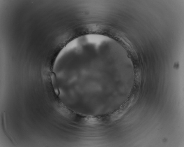 X0000102490419200809051327