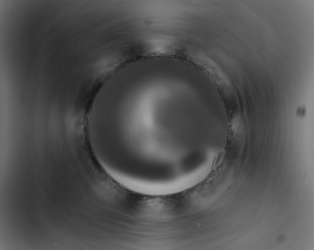 X0000102490423200809051326