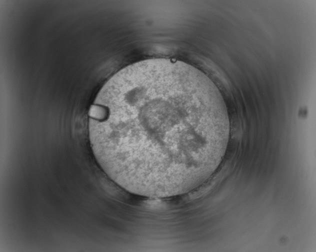 X0000102490425200809051326