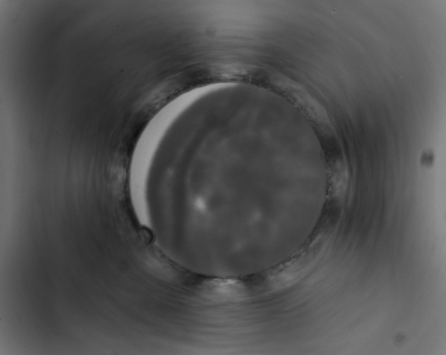 X0000102490427200809051326