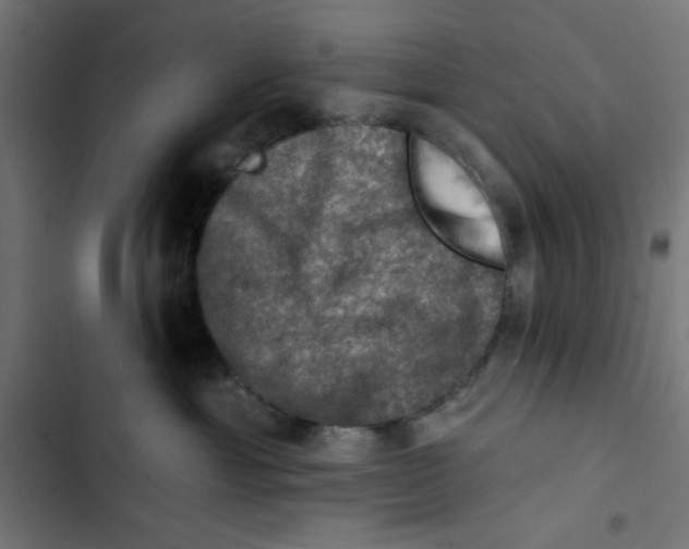 X0000102490429200809051326