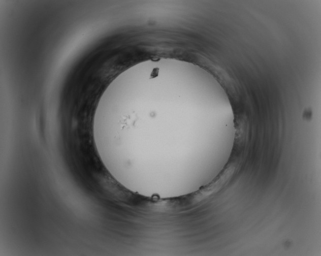 X0000102490430200809051326