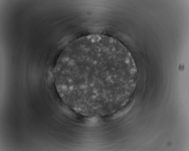 X0000102490432200809051326