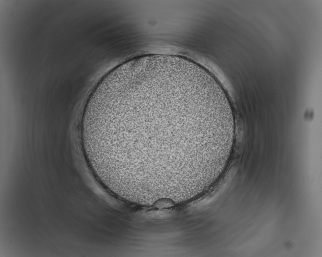 X0000102490433200809051326