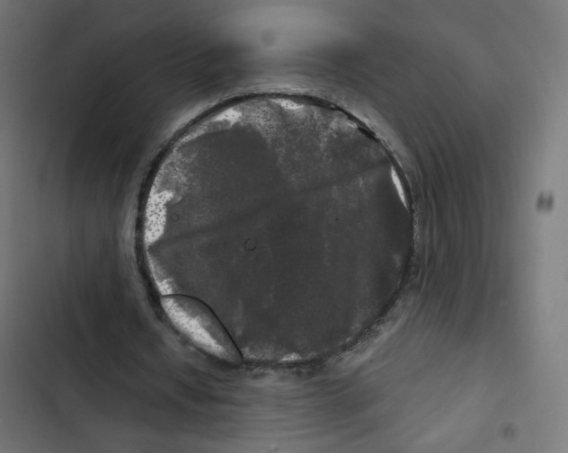 X0000102490434200809051326