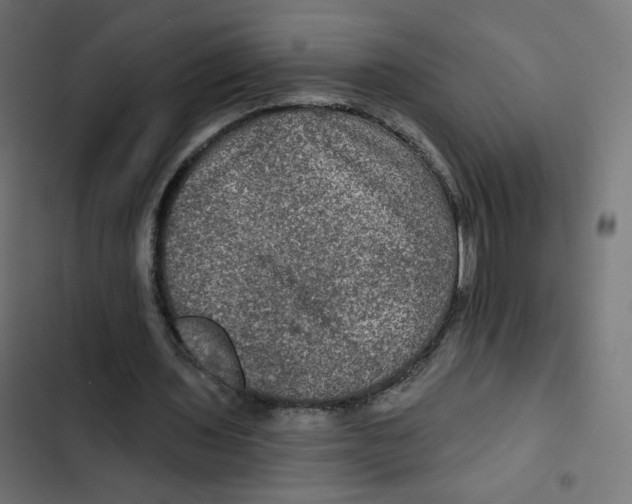 X0000102490435200809051326