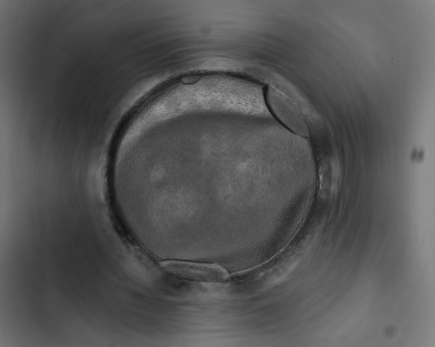 X0000102490436200809051326