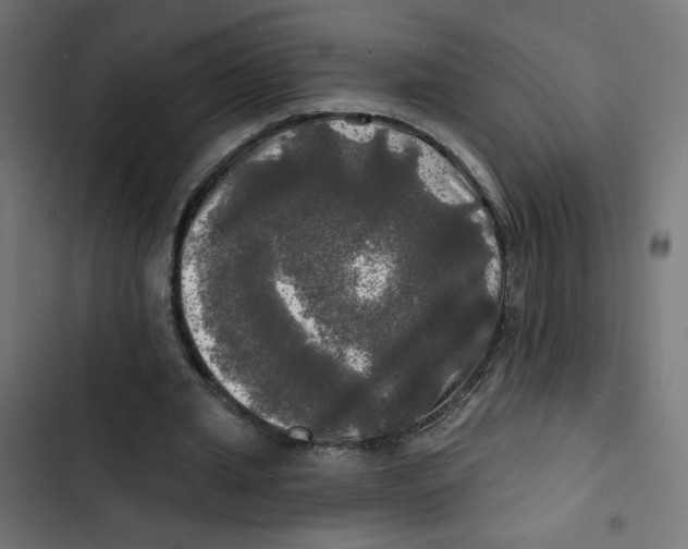 X0000102490437200809051326