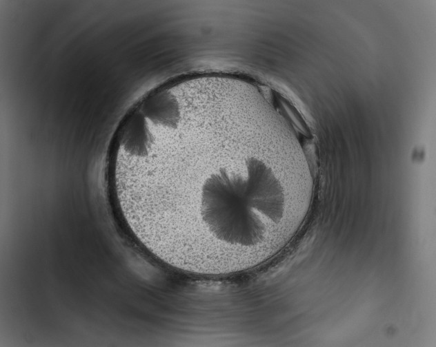 X0000102490439200809051326