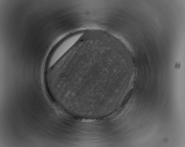 X0000102490440200809051326