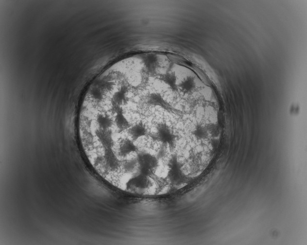 X0000102490441200809051326