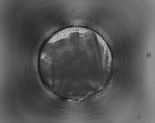 X0000102490442200809051326