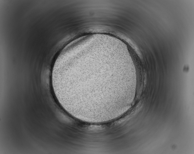 X0000102490445200809051326