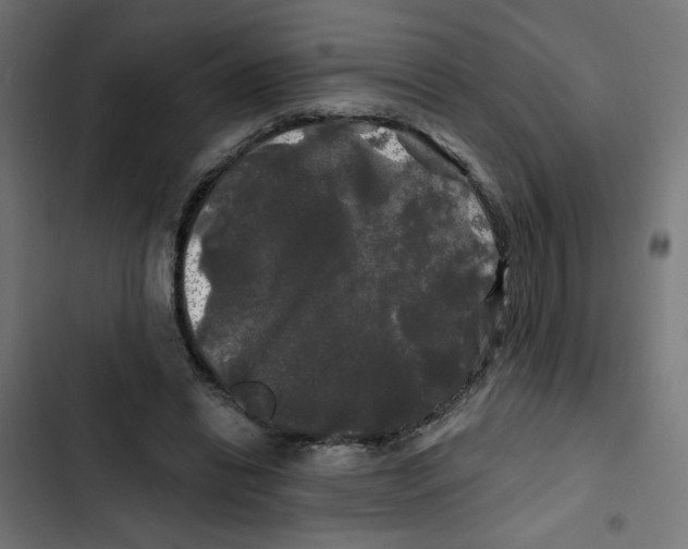 X0000102490446200809051326