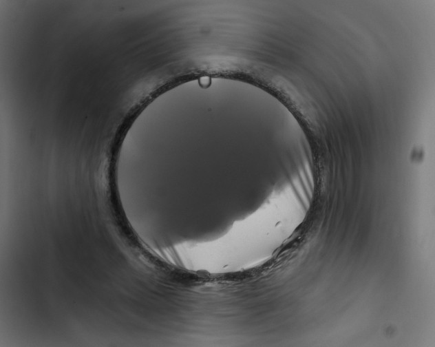 X0000102490447200809051326