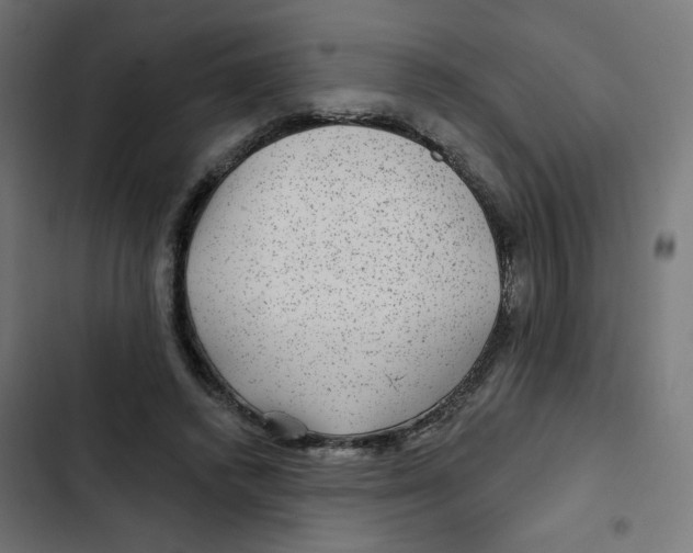 X0000102490448200809051326